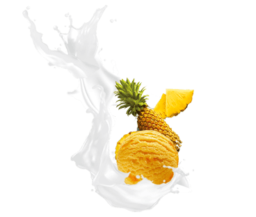 Mercelys Website Images